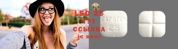 дмт Аркадак