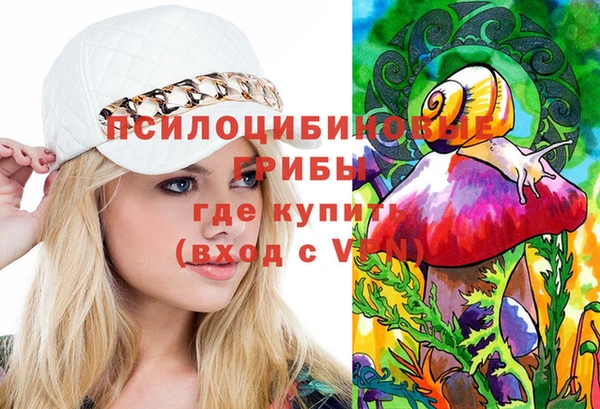 дмт Аркадак