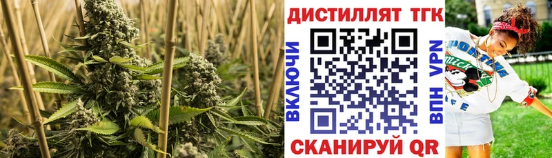 Дистиллят ТГК THC oil  Купить закладки  Кунгур 